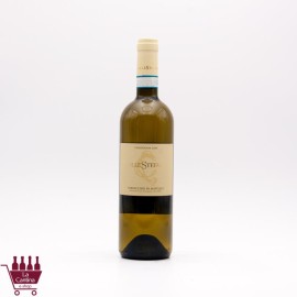 COLLESTEFANO - Verdicchio di Matelica DOC BIO 2023