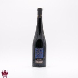 LA PIOTTA - PIOTA Pinot Nero Oltrepò Pavese DOC BIO 2018