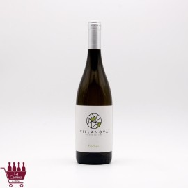 VILLANOVA - Friulano Friuli Isonzo DOC 2023