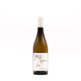 CALCAGNO - GINESTRA Etna Bianco DOC 2022