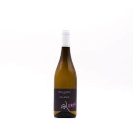 TENUTA FESSINA - ERSE Etna Bianco DOC 2023