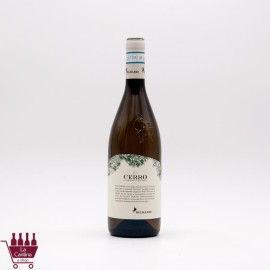 BELISARIO - CERRO Verdicchio di Matelica DOC 2023