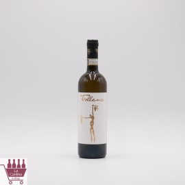 TOLLENA - TOLLENA Vernaccia di San Gimignano DOCG 2022