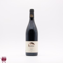 CARLOTTO - Mazzon Pinot Nero Alto Adige DOC 2019