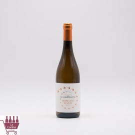 GUIDO BERTA - Moscato d'Asti DOCG 2023