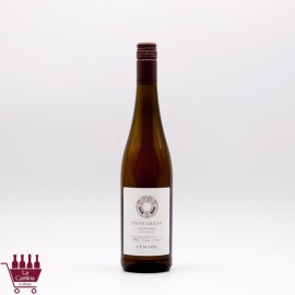 CESCONI - Pinot Grigio Ramato Vigneti delle Dolomiti IGT BIO 2023