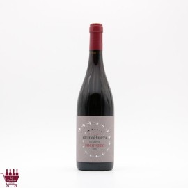 GUIDO BERTA - Piemonte Pinot Nero DOC 2022