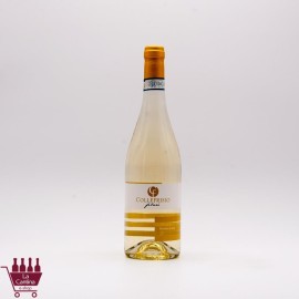 COLLEFRISIO - FILARE' Trebbiano d'Abruzzo DOC BIO 2023