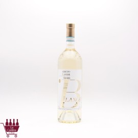 CERETTO - BLANGE' Arneis Langhe DOC BIO 2023 MAGNUM