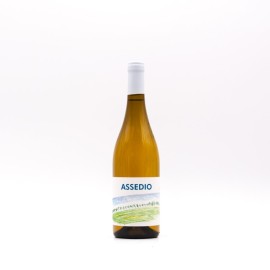 FEDRIZZI - ASSEDIO Bianco 2024