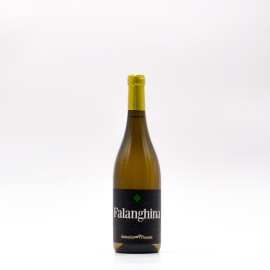 ANTONIO PISANTE - Falanghina Puglia IGP 2024