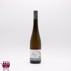 FALKENSTEIN - Riesling Vinschgau Alto Adige DOC 2023