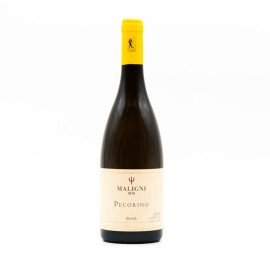 MALIGNI - MAIA Pecorino Colline Teatine IGT 2024