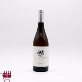 VILLANOVA - Sauvignon Friuli Isonzo DOC 2024