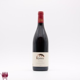 CARLOTTO - Schiava Vigneti delle Dolomiti IGT 2020