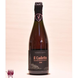 VIGNETO SAETTI - IL CADETTO IGP Rosato dell'Emilia S.S. 2023