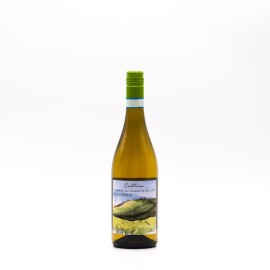 SARTARELLI - COLLINE Verdicchio dei Castelli di Jesi DOC 2024