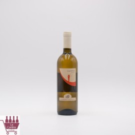 CENATIEMPO - GRAN TIFEO Bianco Falanghina 2024