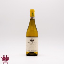 BUCCI - VILLA BUCCI Verdicchio dei Castelli di Jesi DOCG Riserva 2017