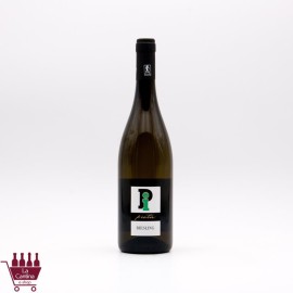 LA PIOTTA - PIOTA Riesling Oltrepo Pavese DOC BIO 2024