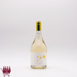 COLLEFRISIO - MAGNOLIA  Bianco Terre di Chieti IGT 2025