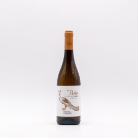 CANTINA DEL BARONE - PAONE Fiano di Avellino DOCG 2023