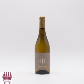 TRAMIN - Pinot Grigio Alto Adige DOC 2025