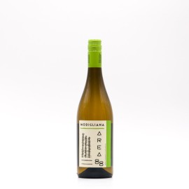 MENTA E ROSMARINO - AREA 88 Bianco Modigliana Romagna DOC 2023