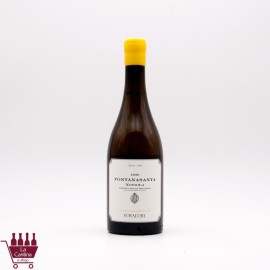 FORADORI - FONTANASANTA Nosiola Vigneti delle Dolomiti IGT 2024
