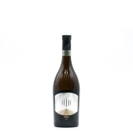 TRAMIN - TROY Chardonnay Riserva Alto Adige DOC 2022