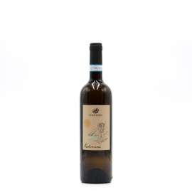 CENATIEMPO - KALIMERA Bianco Ischia DOC 2022