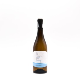 TORRICINO - Falanghina Campania IGT 2024