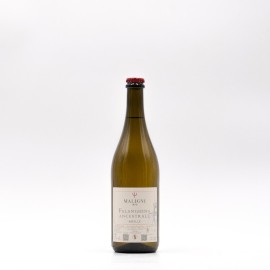MALIGNI - ABEILLE Falanghina Frizzante IGT 2025