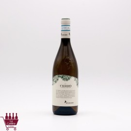 BELISARIO - CERRO Verdicchio di Matelica DOC 2025