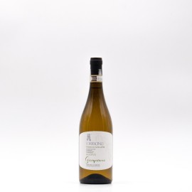 TORRICINO - SERRAPIANO Fiano di Avellino DOCG 2024