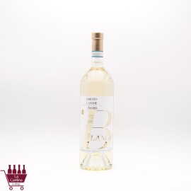 CERETTO - BLANGE' Arneis Langhe DOC BIO 2024 MAGNUM