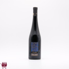LA PIOTTA - 8990 Pinot Nero...